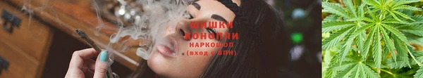 мдпв Горняк