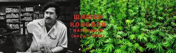 мдпв Горняк