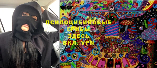 мдпв Горняк