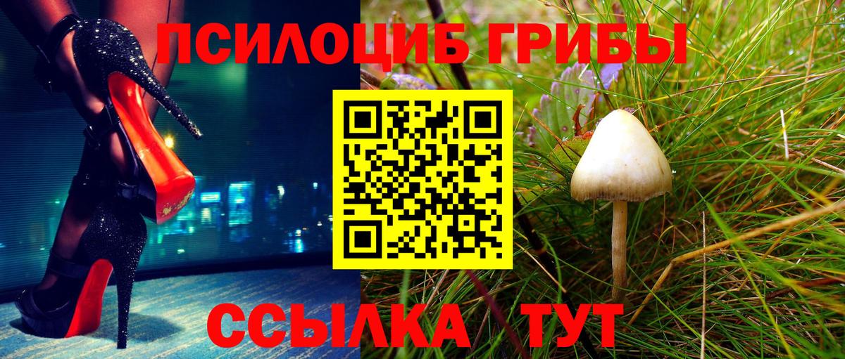 Псилоцибиновые грибы ЛСД Елец